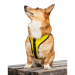 K9 Sport Sack Dog Harnesses