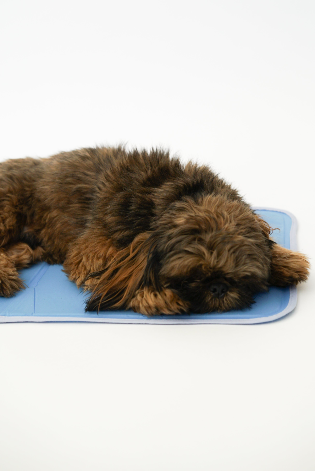 The Green Pet Shop Cool Pet Pad Dog Beds