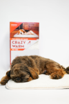 The Green Pet Shop Crazy Warm Pet Pad Dog Beds