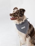 Alto Modas Dog Clothes