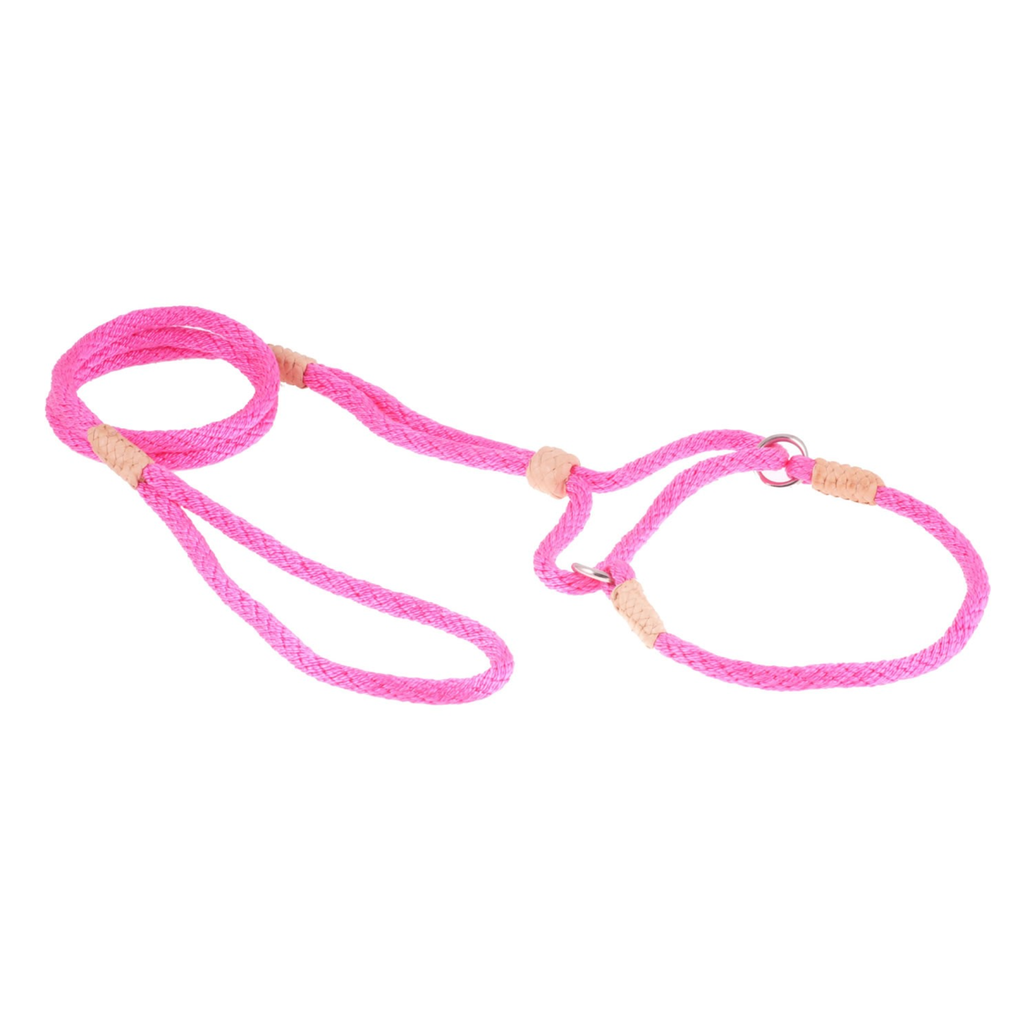 Alvalley LLC Nylon Martingale Leads (10in x 1/4in or 6mm) Dog Leashes