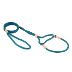 Alvalley LLC Dog Leashes