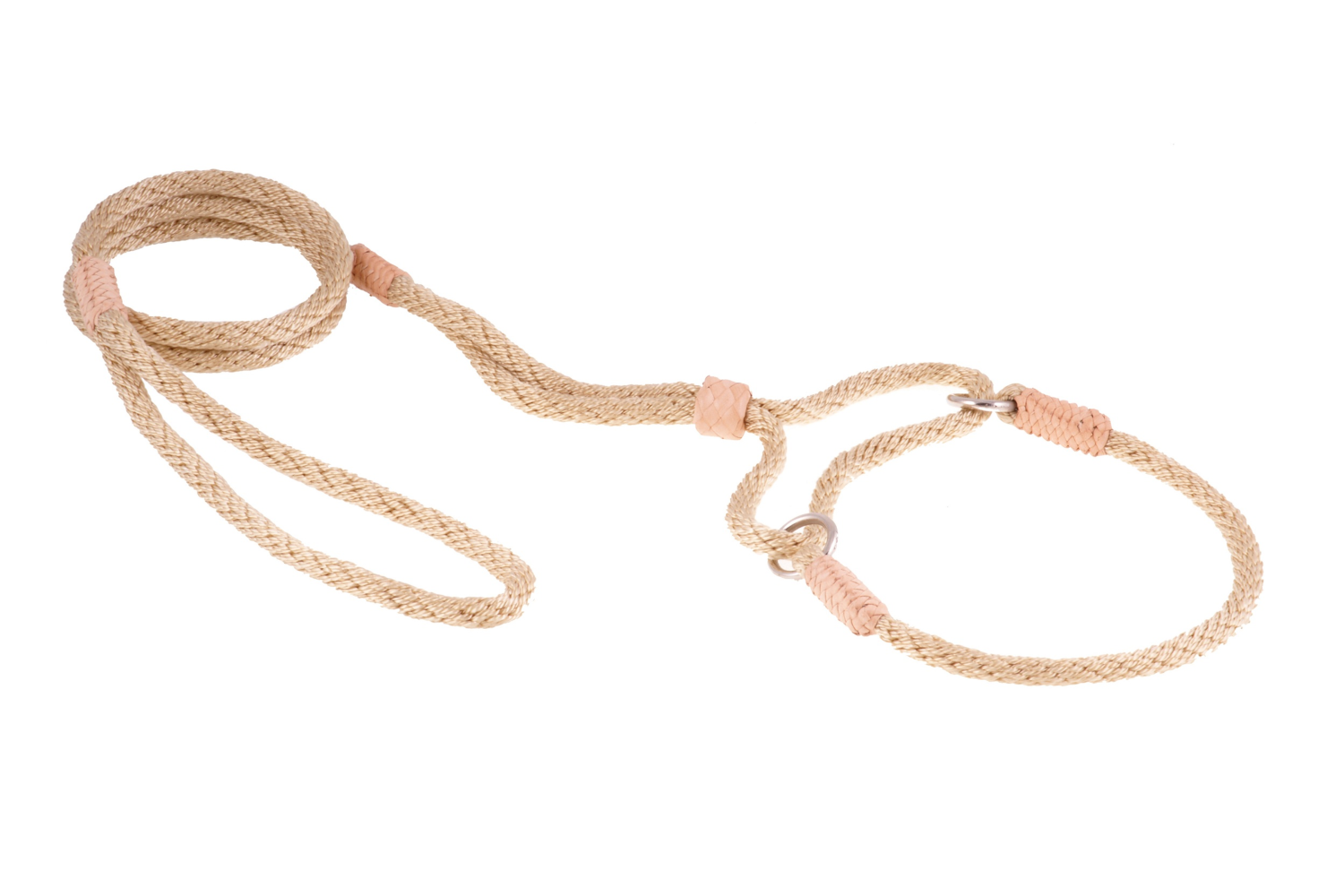 Alvalley LLC Nylon Martingale Leads (10in x 1/4in or 6mm) Dog Leashes