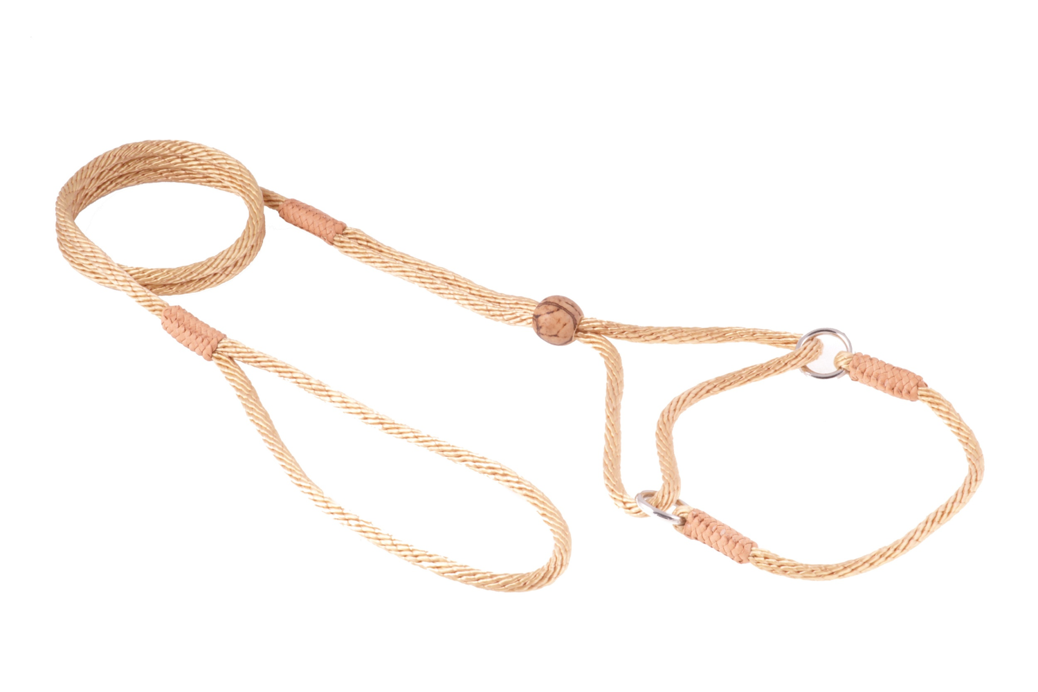 Alvalley LLC Nylon Martingale Leads (8in x 1/8in or 4mm) Dog Leashes
