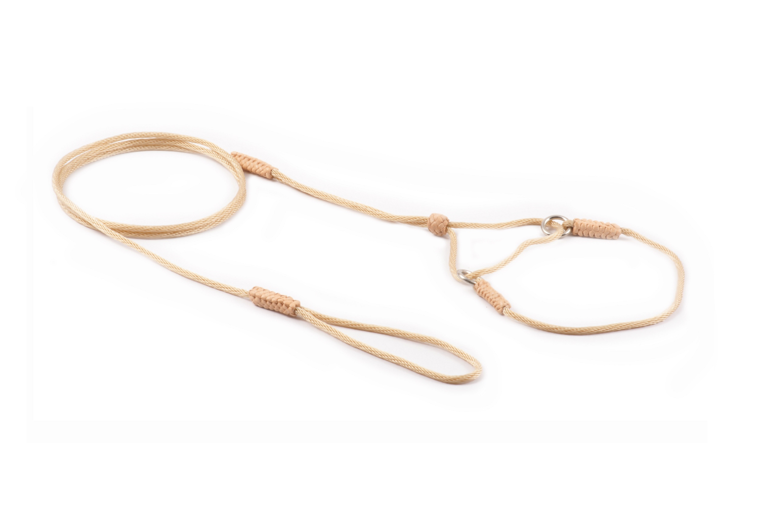 Alvalley LLC Nylon Martingale Leads (8in x 1/16 or 2 mm) Dog Leashes