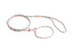 Alvalley LLC Dog Leashes