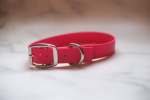 Kai's Canine Creative Biothane Buckle Dog Collar Dog Collars