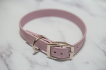 Kai's Canine Creative Biothane Buckle Dog Collar Dog Collars