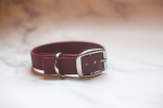 Kai's Canine Creative Biothane Buckle Dog Collar Dog Collars