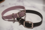 Kai's Canine Creative Biothane Buckle Dog Collar Dog Collars