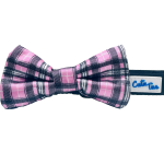 Cutie Ties Dog Clothes
