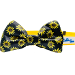 Cutie Ties Cutie Ties Dog Bow Tie Dog Clothes