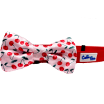 Cutie Ties Dog Clothes