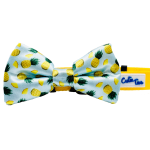 Cutie Ties Dog Clothes