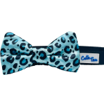 Cutie Ties Dog Clothes