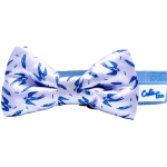 Cutie Ties Dog Clothes