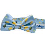 Cutie Ties Dog Clothes