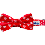 Cutie Ties Dog Clothes