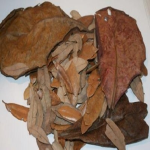 Jungle Bob Enterprises