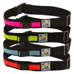 Squishy Face Studio Hands Free Dog Leash Belt Dog Leashes
