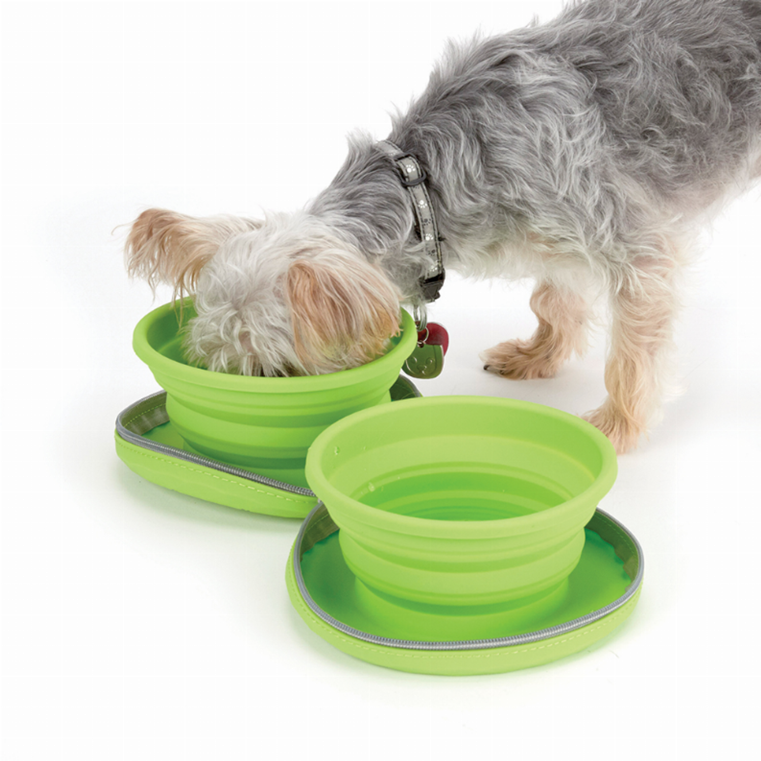Pet Edge CR Collapsible Travel Diner 23oz Portable food & water