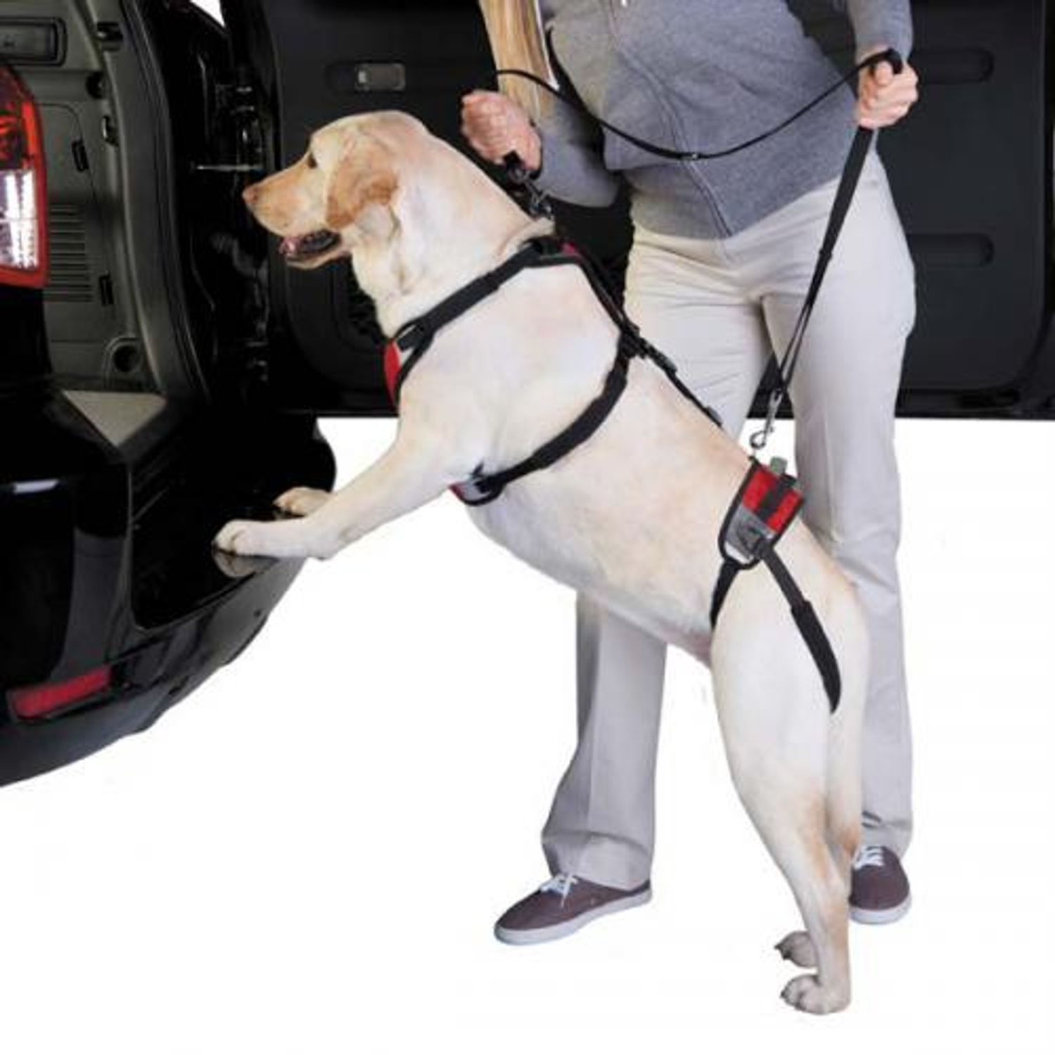 Pet Edge Total Pet Health Lift & Go Lead Dog Harnesses