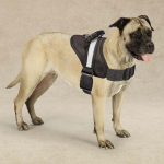 Pet Edge Dog Harnesses