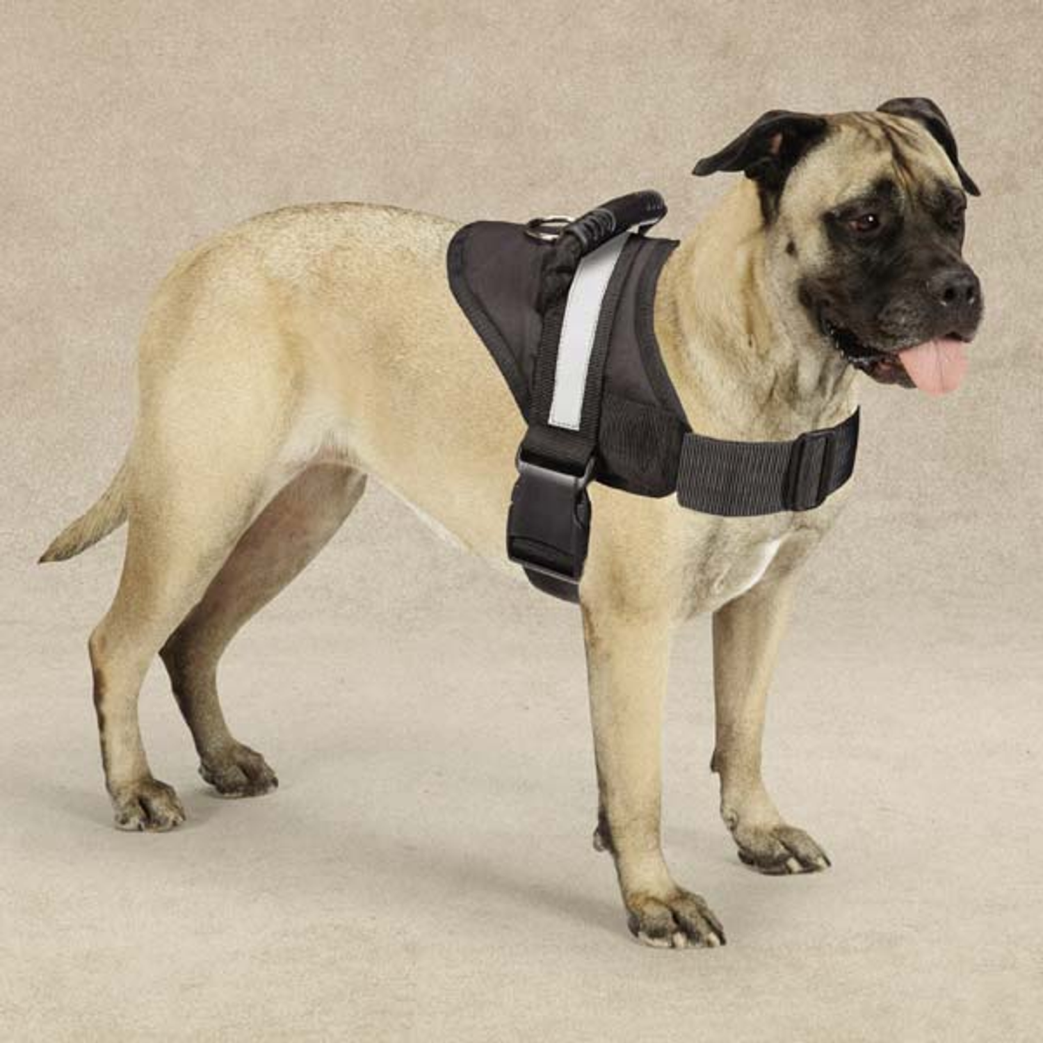 Pet Edge Guardian Gear Excursion Harnesses 20-26In Dog Harnesses