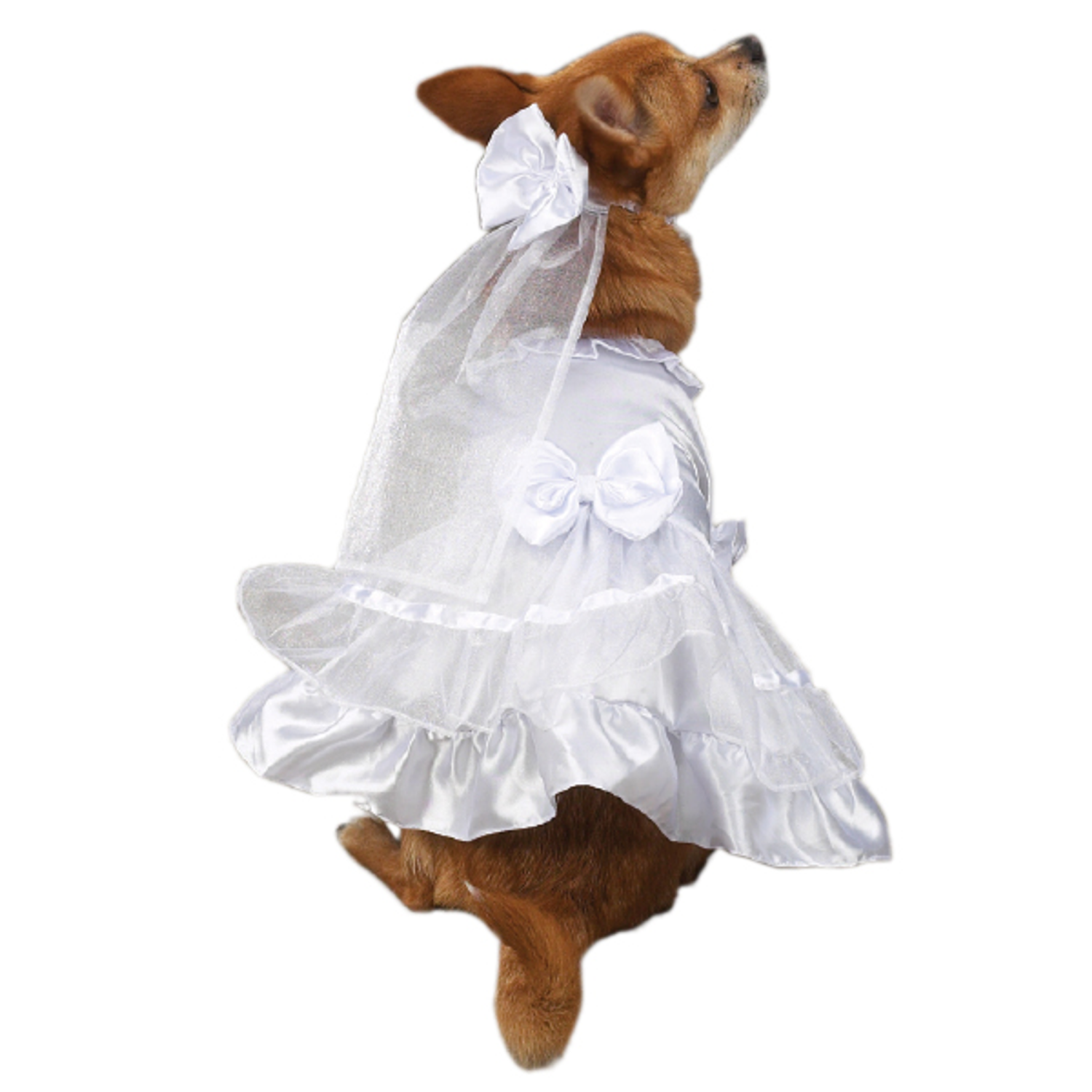 Pet Edge Dog Clothes Pet Edge East Side Coll Yappily Ever After Wedding Dress Dog Clothes