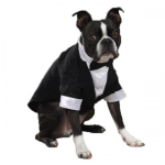 Pet Edge East Side Coll Yappily Ever After Groom Tux Dog Clothes