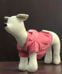 Coin 1804 Dog Clothes