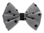 Pets Ribbons PR1001|Pets Ribbons Pet Accessories