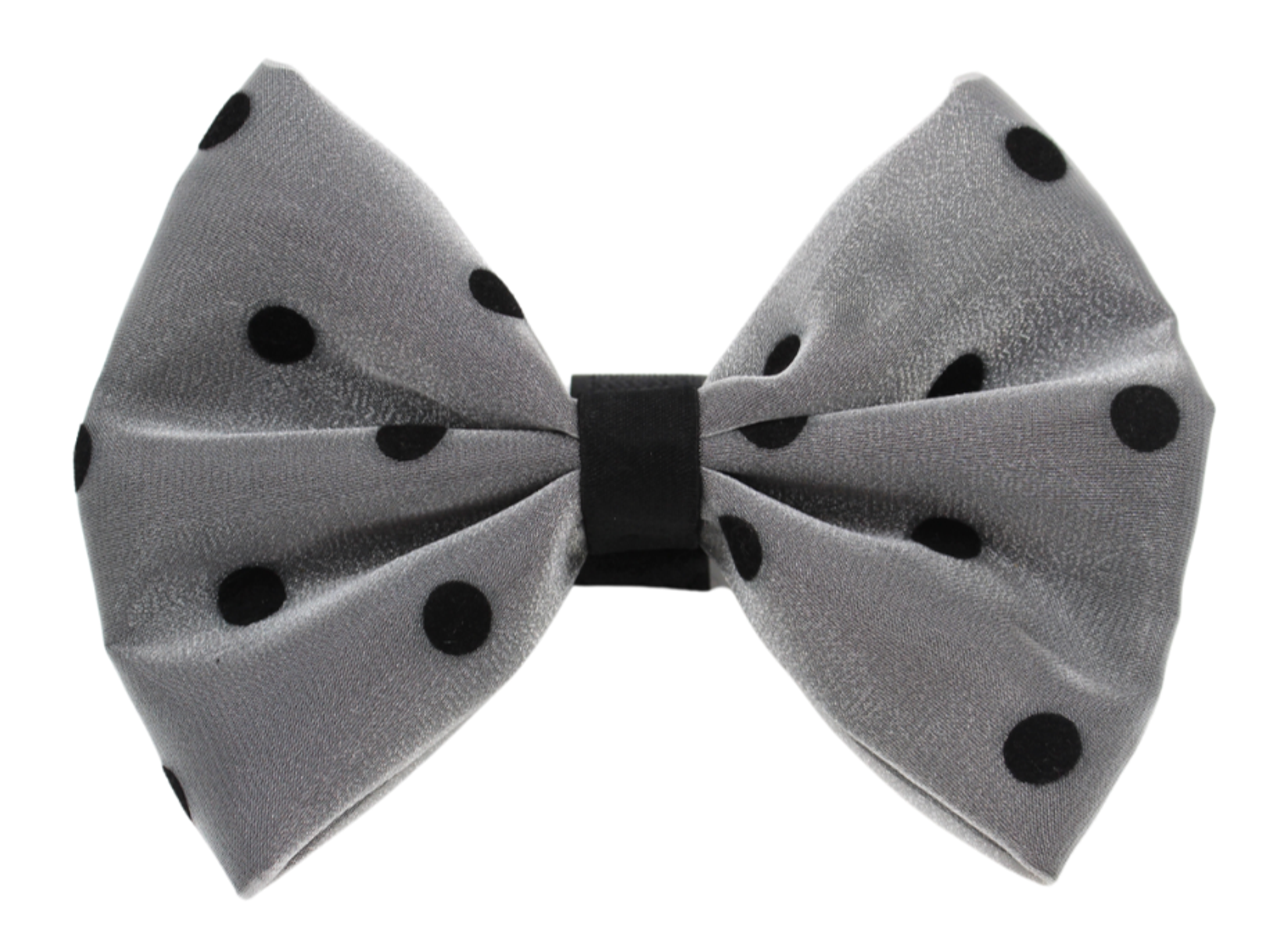 Pets Ribbons PR1001|Pets Ribbons Pet Accessories