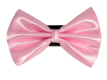 Pets Ribbons PR3000|Pets Ribbons Pet Accessories