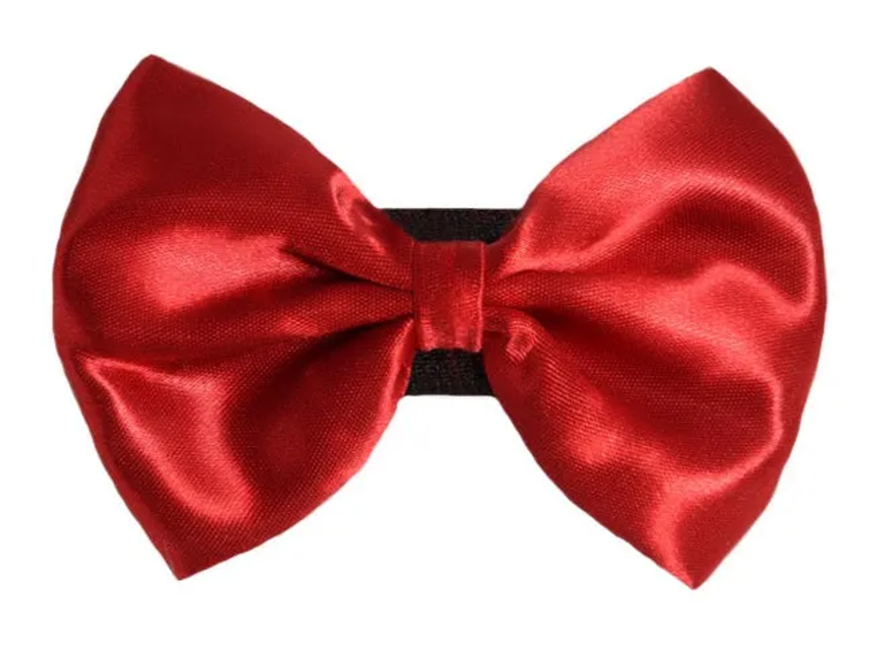 Pets Ribbons PR3000|Pets Ribbons Pet Accessories
