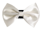 Pets Ribbons PR3000|Pets Ribbons Pet Accessories