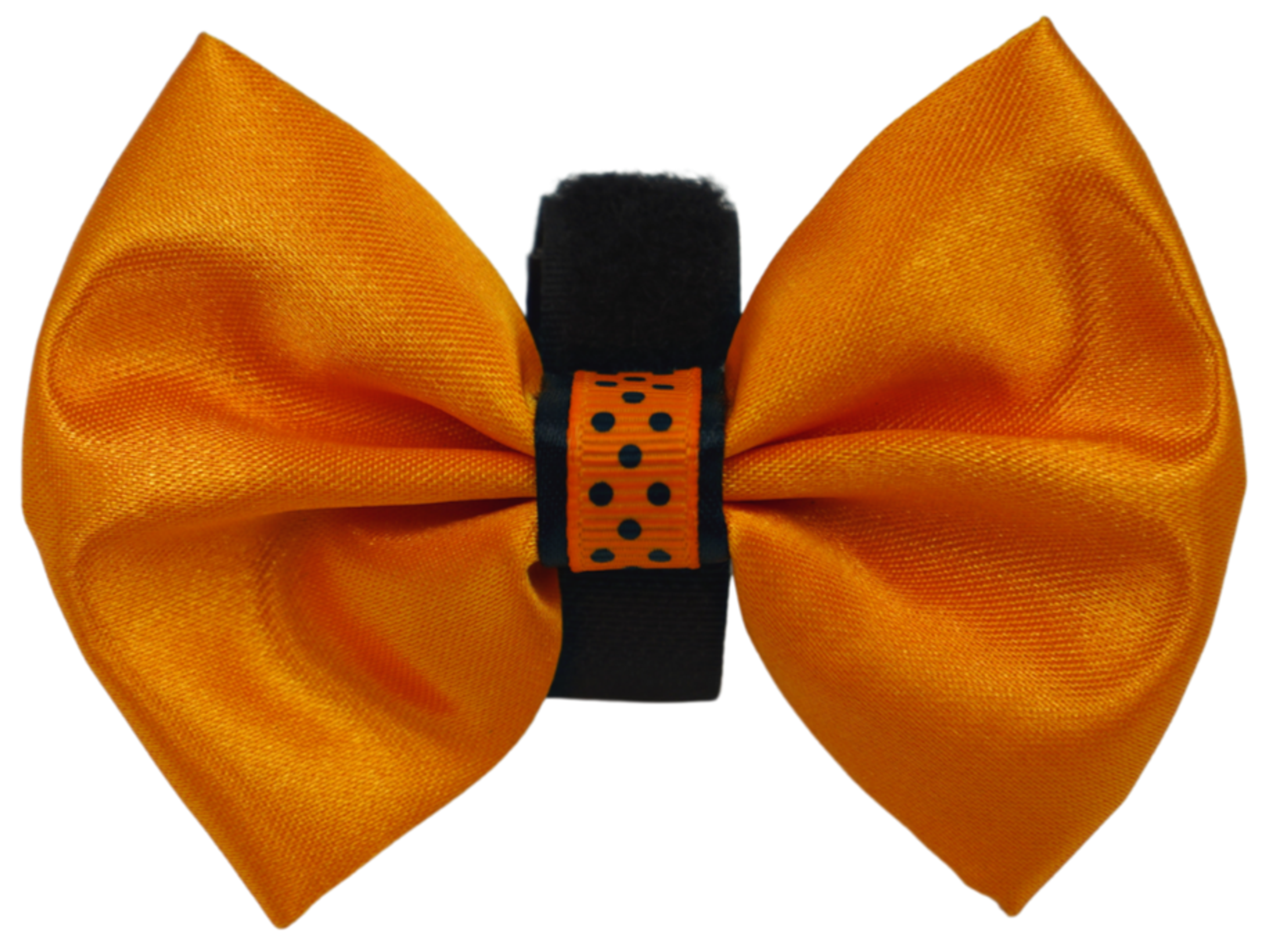 Pets Ribbons PR3000HD|Pets Ribbons Pet Accessories