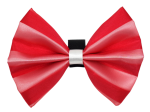 Pets Ribbons PR3006|Pets Ribbons Pet Accessories