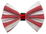 Pets Ribbons PR3006X|Pets Ribbons Pet Accessories