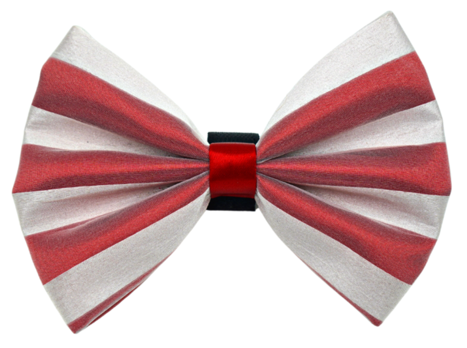 Pets Ribbons PR3006X|Pets Ribbons Pet Accessories