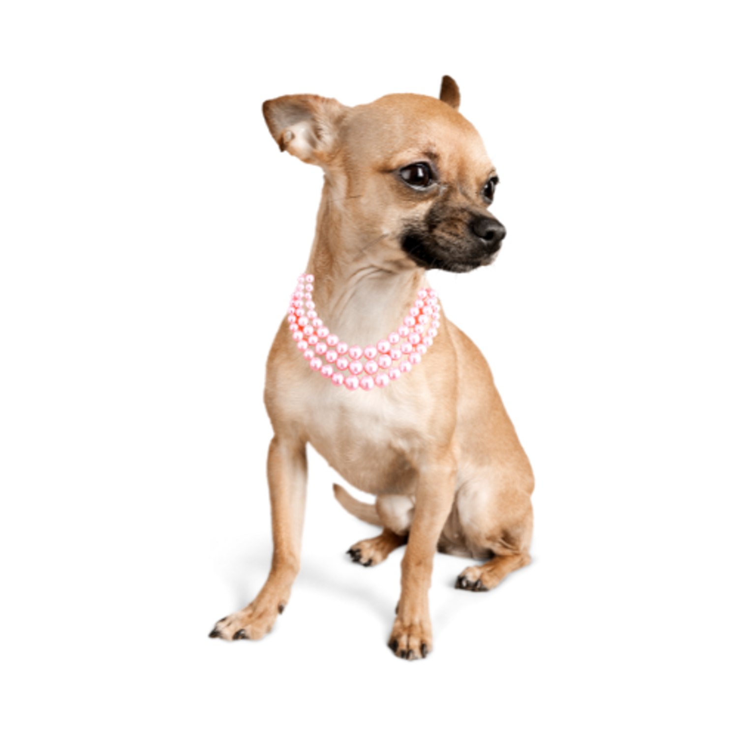 Bark Fifth Avenue Multi-Strand Pink Pearl Necklace Pet Accessories