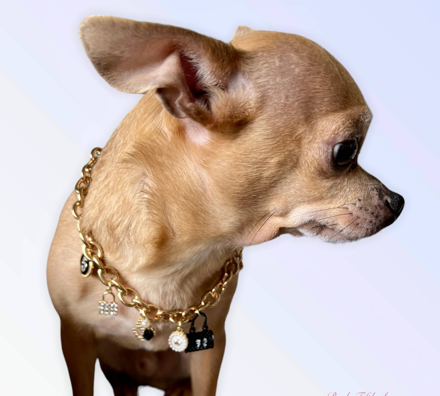 Bark Fifth Avenue My Dainty Charm Necklace Dog Collars
