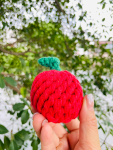 CSCORD International LLC Handmade Sustainable Fuji Apple Rope Chew Toy For Puppies Dog Toys