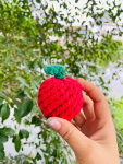 CSCORD International LLC Handmade Sustainable Strawberry Rope Chew Toy For Puppies Dog Toys
