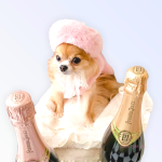 Bark Fifth Avenue Pet Accessories