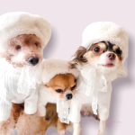 Bark Fifth Avenue My Furry Beret Pet Accessories
