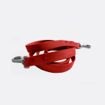 Come Here Buddy Red Dog Leash Dog Leashes