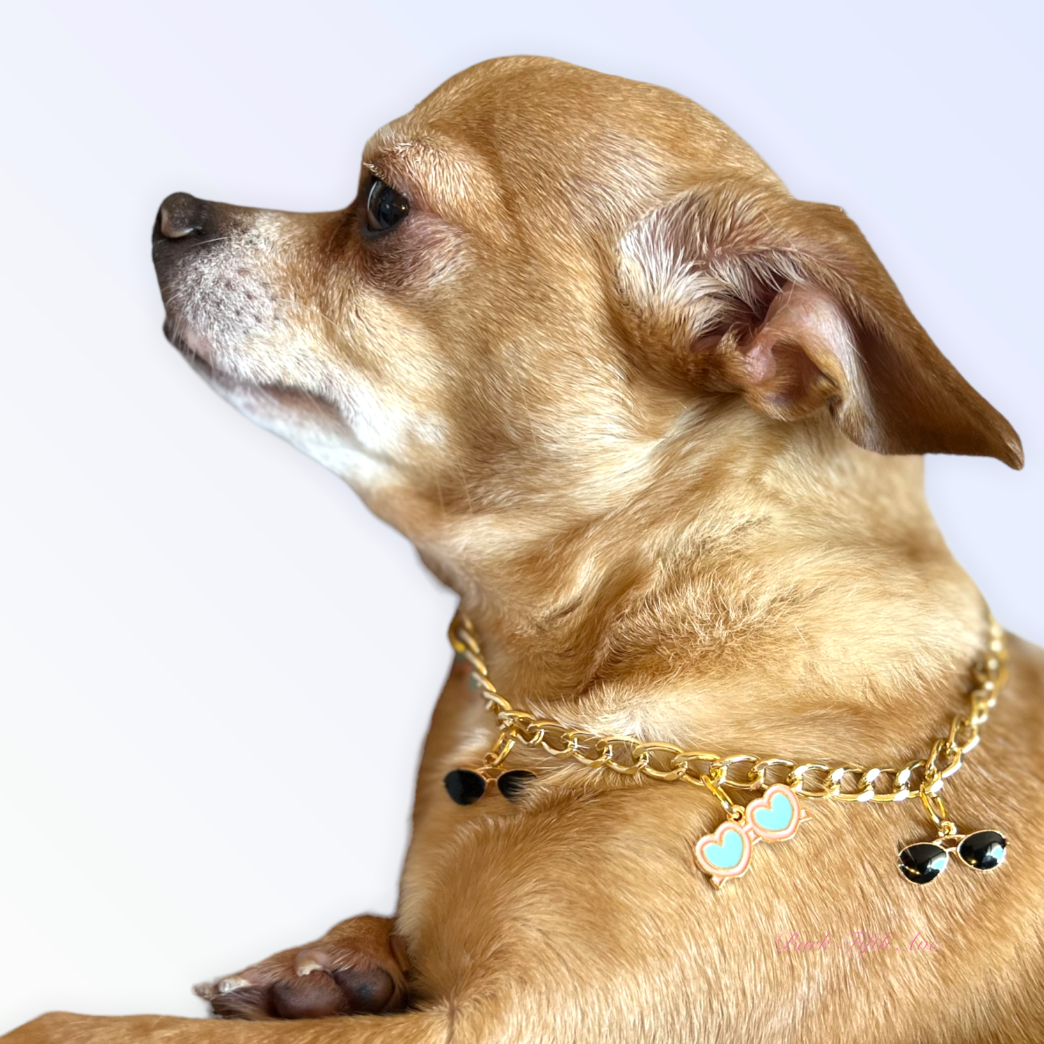 Bark Fifth Avenue My Summertime Aviator Charm Toggle Necklace Pet Accessories