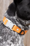 Aria the Fox LLC Crimson Glow Waterproof Dog Collar Dog Collars