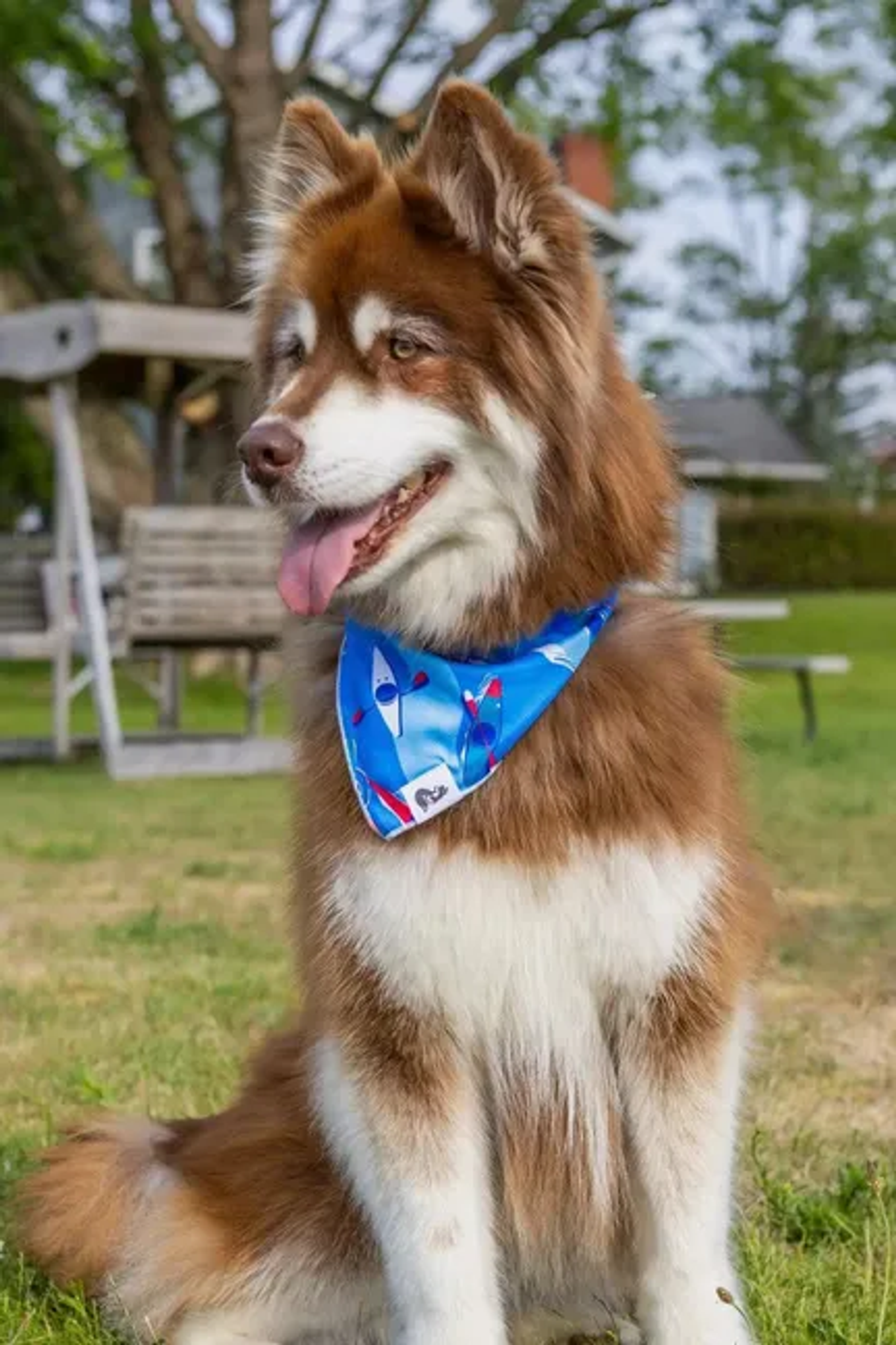Aria the Fox LLC K9 Kayak Dog Bandana Dog Bandanas